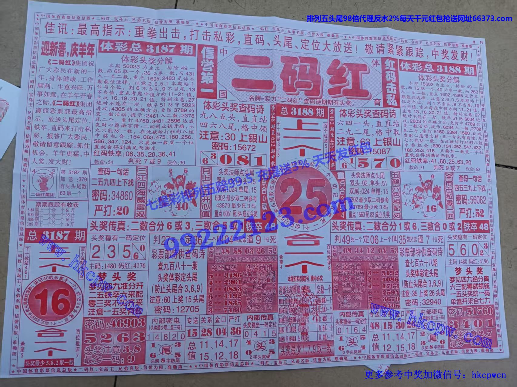 .jpg